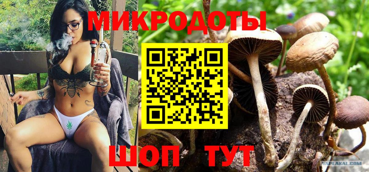 Дмитров  Галлюциногенные грибы GOLDEN TEACHER  Вход с VPN  Псилоцибиновые грибы Cubensis 